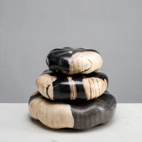 10 Black Petrified Wood Sculpture Stack